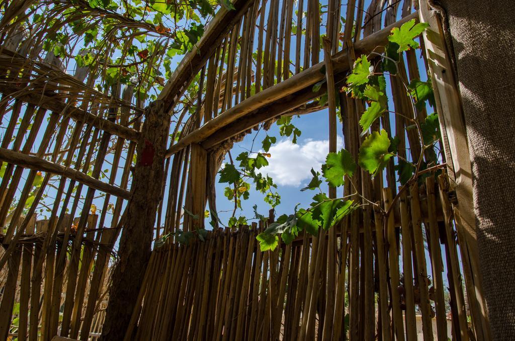 Kfar Hanokdim - Glamping & Camping Arad Zewnętrze zdjęcie